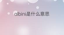 albini是什么意思 albini的中文翻译、读音、例句