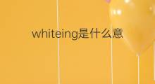 whiteing是什么意思 whiteing的中文翻译、读音、例句