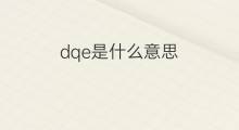 dqe是什么意思 dqe的中文翻译、读音、例句