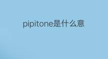 pipitone是什么意思 pipitone的中文翻译、读音、例句