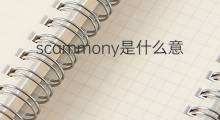 scammony是什么意思 scammony的中文翻译、读音、例句