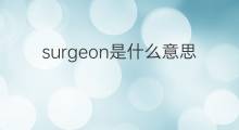 surgeon是什么意思 surgeon的中文翻译、读音、例句