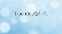 fruchtlos是什么意思 fruchtlos的中文翻译、读音、例句