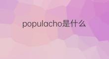 populacho是什么意思 populacho的中文翻译、读音、例句