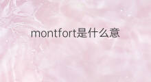montfort是什么意思 montfort的中文翻译、读音、例句