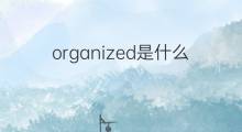 organized是什么意思 organized的中文翻译、读音、例句