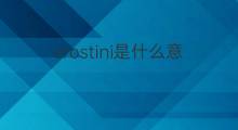 crostini是什么意思 crostini的中文翻译、读音、例句