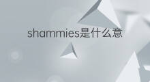 shammies是什么意思 shammies的中文翻译、读音、例句