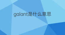 galant是什么意思 galant的中文翻译、读音、例句