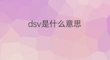dsv是什么意思 dsv的中文翻译、读音、例句