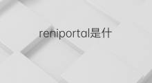 reniportal是什么意思 reniportal的中文翻译、读音、例句