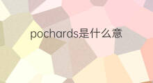 pochards是什么意思 pochards的中文翻译、读音、例句