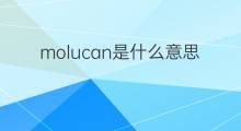 molucan是什么意思 molucan的中文翻译、读音、例句
