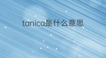 tanica是什么意思 tanica的中文翻译、读音、例句