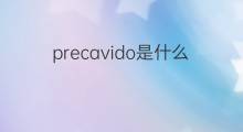 precavido是什么意思 precavido的中文翻译、读音、例句
