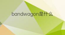 bandwagon是什么意思 bandwagon的中文翻译、读音、例句