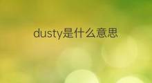 dusty是什么意思 dusty的中文翻译、读音、例句