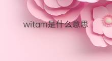witam是什么意思 witam的中文翻译、读音、例句