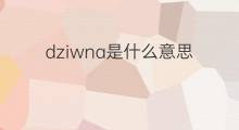 dziwna是什么意思 dziwna的中文翻译、读音、例句