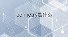 iodimetry是什么意思 iodimetry的中文翻译、读音、例句