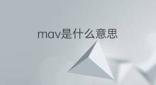 mav是什么意思 mav的中文翻译、读音、例句