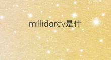 millidarcy是什么意思 millidarcy的中文翻译、读音、例句