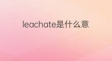 leachate是什么意思 leachate的中文翻译、读音、例句