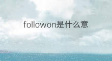 followon是什么意思 followon的中文翻译、读音、例句
