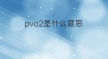 pvo2是什么意思 pvo2的中文翻译、读音、例句