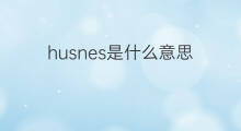 husnes是什么意思 husnes的中文翻译、读音、例句