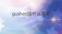 gushed是什么意思 gushed的中文翻译、读音、例句