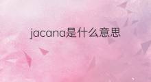 jacana是什么意思 jacana的中文翻译、读音、例句