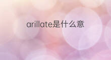 arillate是什么意思 arillate的中文翻译、读音、例句