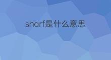 sharf是什么意思 英文名sharf的翻译、发音、来源