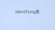 identifying是什么意思 identifying的中文翻译、读音、例句