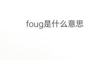 foug是什么意思 foug的中文翻译、读音、例句