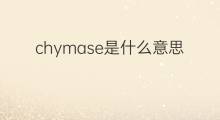 chymase是什么意思 chymase的中文翻译、读音、例句