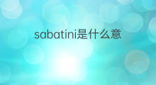 sabatini是什么意思 英文名sabatini的翻译、发音、来源