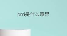 orri是什么意思 orri的中文翻译、读音、例句