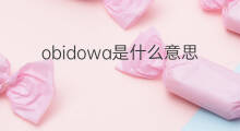 obidowa是什么意思 obidowa的中文翻译、读音、例句