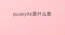 puseyite是什么意思 puseyite的中文翻译、读音、例句