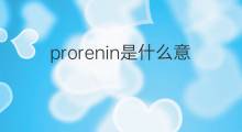prorenin是什么意思 prorenin的中文翻译、读音、例句