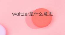 waltzer是什么意思 waltzer的中文翻译、读音、例句