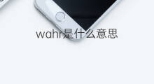 wahr是什么意思 wahr的中文翻译、读音、例句
