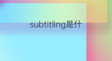 subtitling是什么意思 subtitling的中文翻译、读音、例句