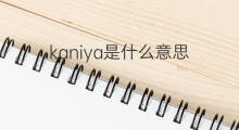 kaniya是什么意思 kaniya的中文翻译、读音、例句