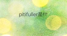 pitifuller是什么意思 pitifuller的中文翻译、读音、例句