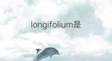longifolium是什么意思 longifolium的中文翻译、读音、例句