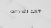 xanthin是什么意思 xanthin的中文翻译、读音、例句