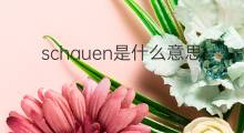 schauen是什么意思 schauen的中文翻译、读音、例句